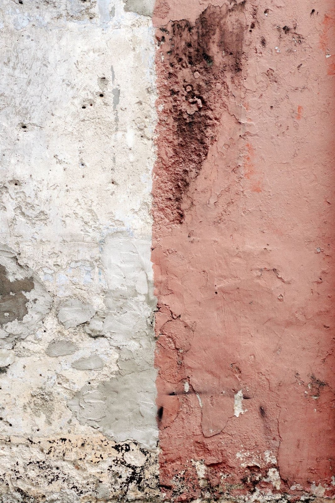 Expert advice on plastering in older homes