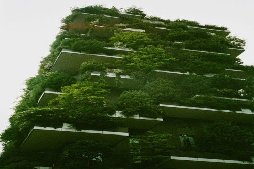 What rating system supports green buildings in india